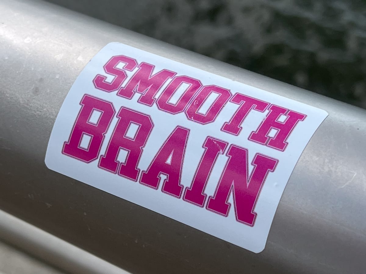 A photo of a thick metal guard rail with a rectangular white sticker reading “Smooth Brain” in large pink block letters.